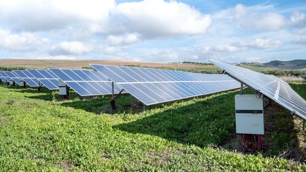 Zastosowania energii słonecznej w rolnictwie